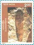 [The 50th Anniversary of Birbal Sahni Institute of Palaeobotany, Lucknow. Plant Fossils, type BAL]