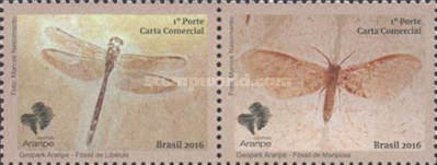 [Fossils of Araripe, type ]