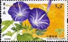 [Flowers, type AXG]