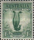 [Superb Lyrebird, type N]
