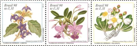 [Cerrado Flowers, type ]