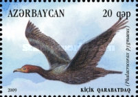 [Marsh Waterfowls, type AAC]