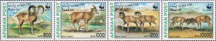 [WWF - Urial, type ]
