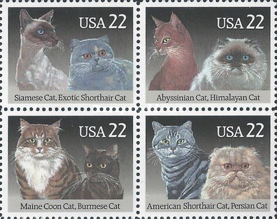 [American Cats, type ]