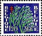 [Plants - The struggle against Tuberculosis, type PR]