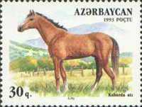 [Horses, type AA]