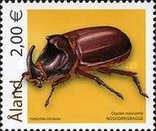 [Insects - Beetles, type IU]