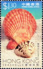 [Sea Shells, type YG]