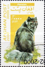 [Cats, type AUV]