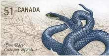 [Endangered Species - Self Adhesive, type CLP]