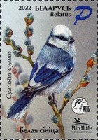 [Bird of the Year - Blue Tit, type BEP]