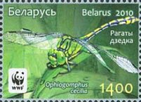 [WWF - Dragonfly the Green Snaketail, type ACP]