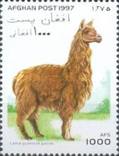 [Llamas & Camels, type ANL]