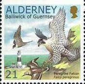 [Birds - The Peregrine Falcon, type EO1]