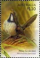 [Australian Songbirds, type DGP]