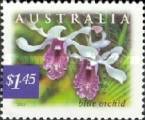 [Nature of Australia - Rainforests - Blue Orchid, type CCV]