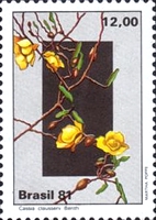 [Flowers of the Central Plateau, type BQV]