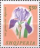 [Flowers, type TU]