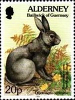 [Flora and Fauna, type BX]