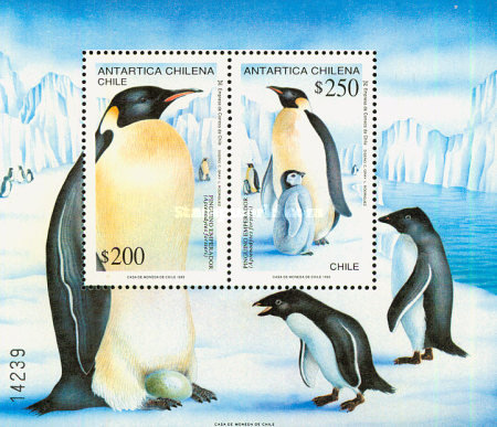 [The Emperor Penguin, type ]