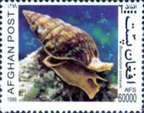 [Fauna - Snails, type ASZ]