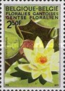 [flowers - Botanical Garden in Gent, type ALL]