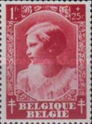 [The struggle against Tuberculosis, type FV5]