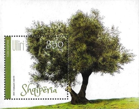 [Olive Cultivation, type ]