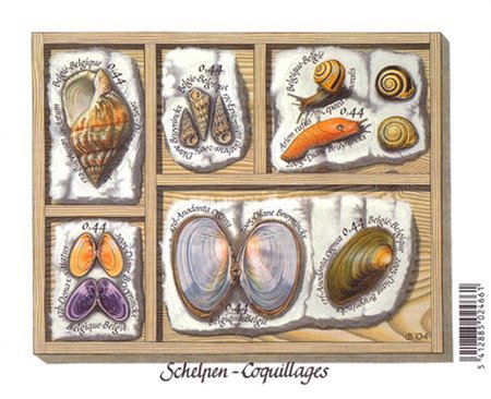 [Shells and Snails - Imperforated, type ]
