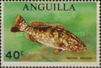 [Saltwater Fish, type BA]