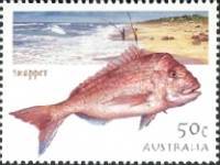 [Fishing in Australia, type CCW]