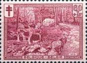 [The struggle against Tuberculosis, type CZ]