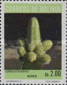 [Airmail - Cacti, type RK]