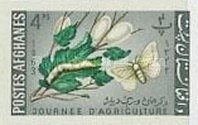 [Day of Agriculture, type JQ5]