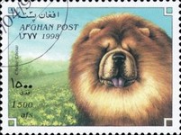 [Dogs, type APD]