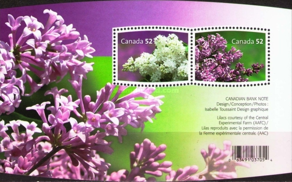 [Flowers - Lilacs, type ]