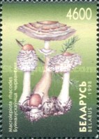 [Mushrooms, type IR]
