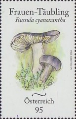 [Mushroom, type EDD]