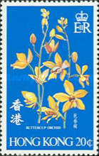 [Orchids, type FM]