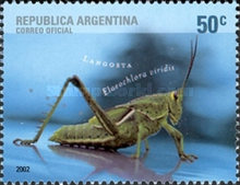 [The 50th Anniversary of the Argentine Federation of Philatelic Entities - Insects, type CQN]