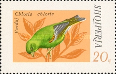 [Songbirds, type XKI]