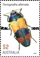 [Insects - Jewel Beetles, type EID]