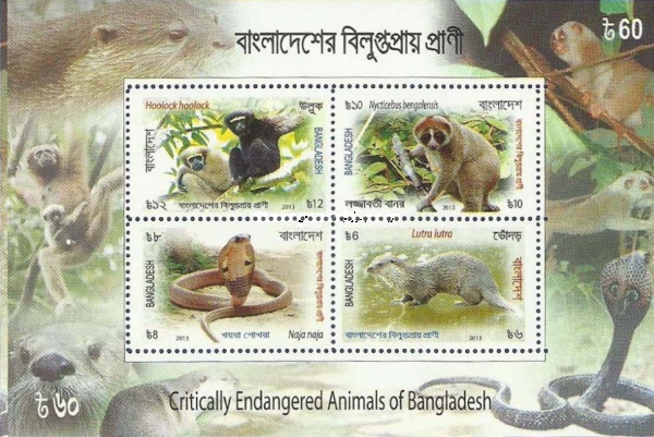 [Critically Endangered Animal of Bangladesh, type ]