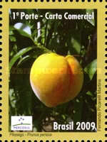 [Mercosul - Export Products - Fruit, type EEG]