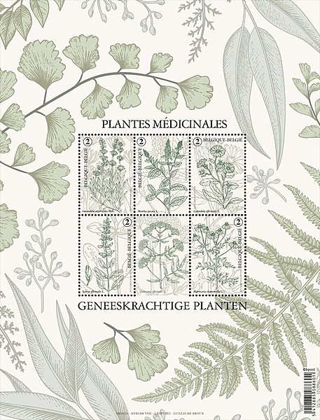[Medicinal Plants of Belgium, type ]