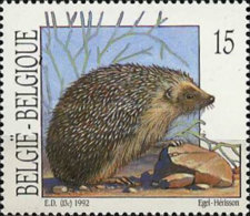 [Rodents, type BSE]