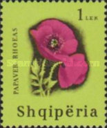 [Flowering Plants, type UU]