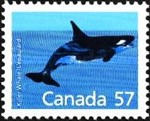 [Canadian Mammals and Architecture, type AKV]