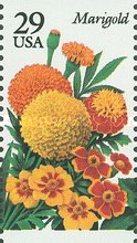[Garden Flowers Booklet Issue, type CGW]