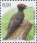 [Birds - Black Woodpecker, type DRV]